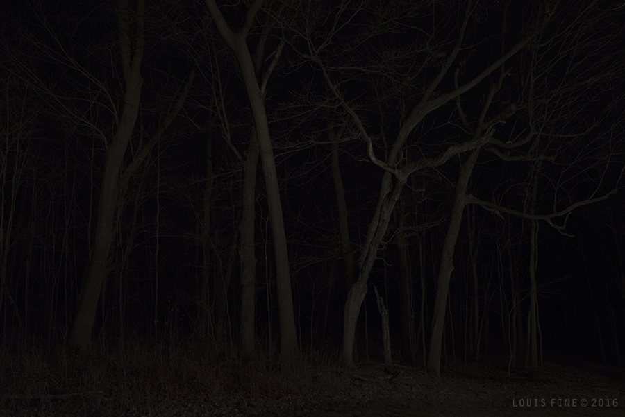 Comfort In Darkness